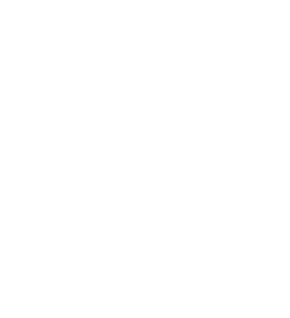 WTFI Logo